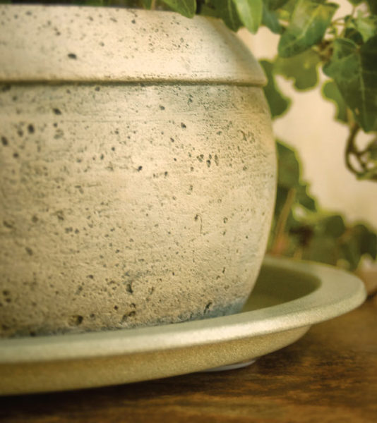 Plant saucer construction that makes moving plants easy Plant Butler