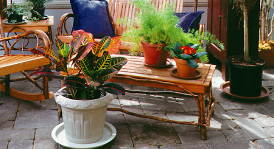 Plant Saucer Indoor and Outdoor Uses Container Gardening Plant Butler