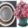 plant saucer sizes